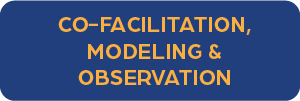 button - Co-facilitation, Modeling & Observation